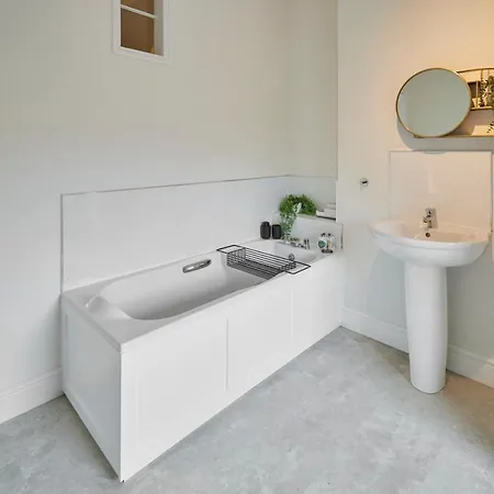 Host & - Mollymac 솔트번바이더씨